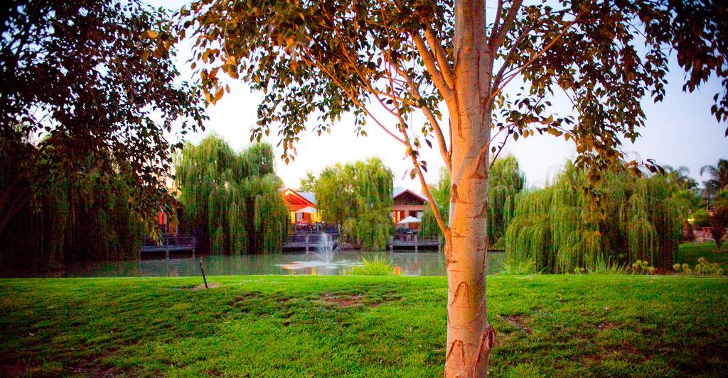 Perricoota Vines Retreat Moama Exterior foto