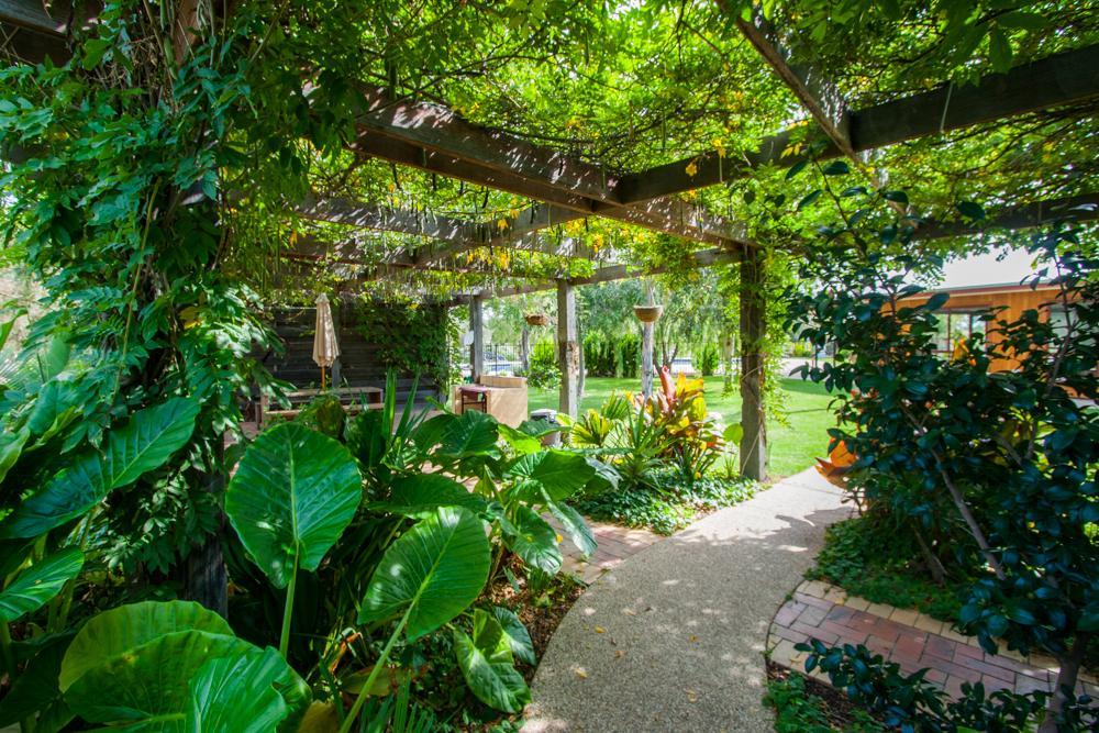 Perricoota Vines Retreat Moama Exterior foto