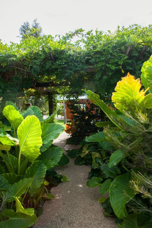 Perricoota Vines Retreat Moama Exterior foto