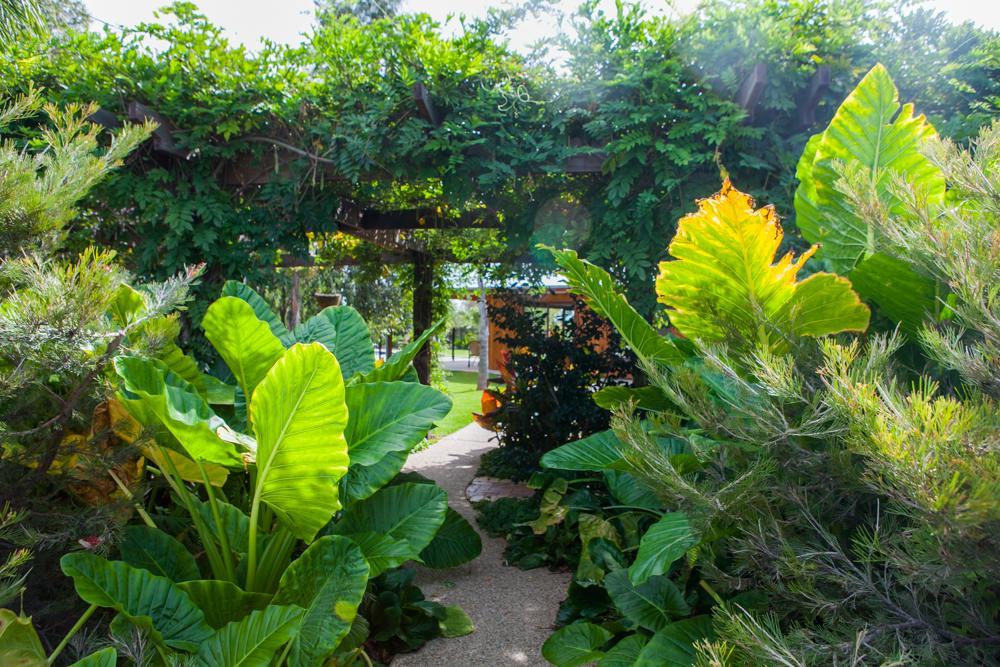 Perricoota Vines Retreat Moama Exterior foto