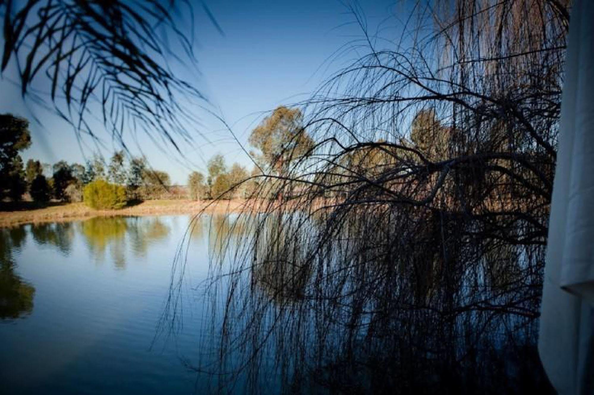 Perricoota Vines Retreat Moama Exterior foto