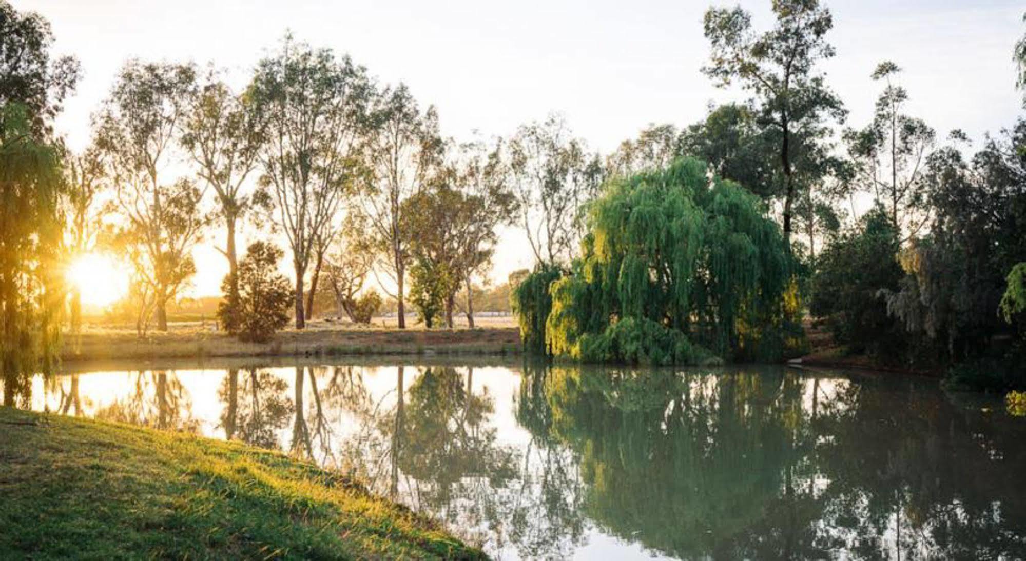 Perricoota Vines Retreat Moama Exterior foto